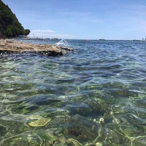 Meet your Posher, Sonya